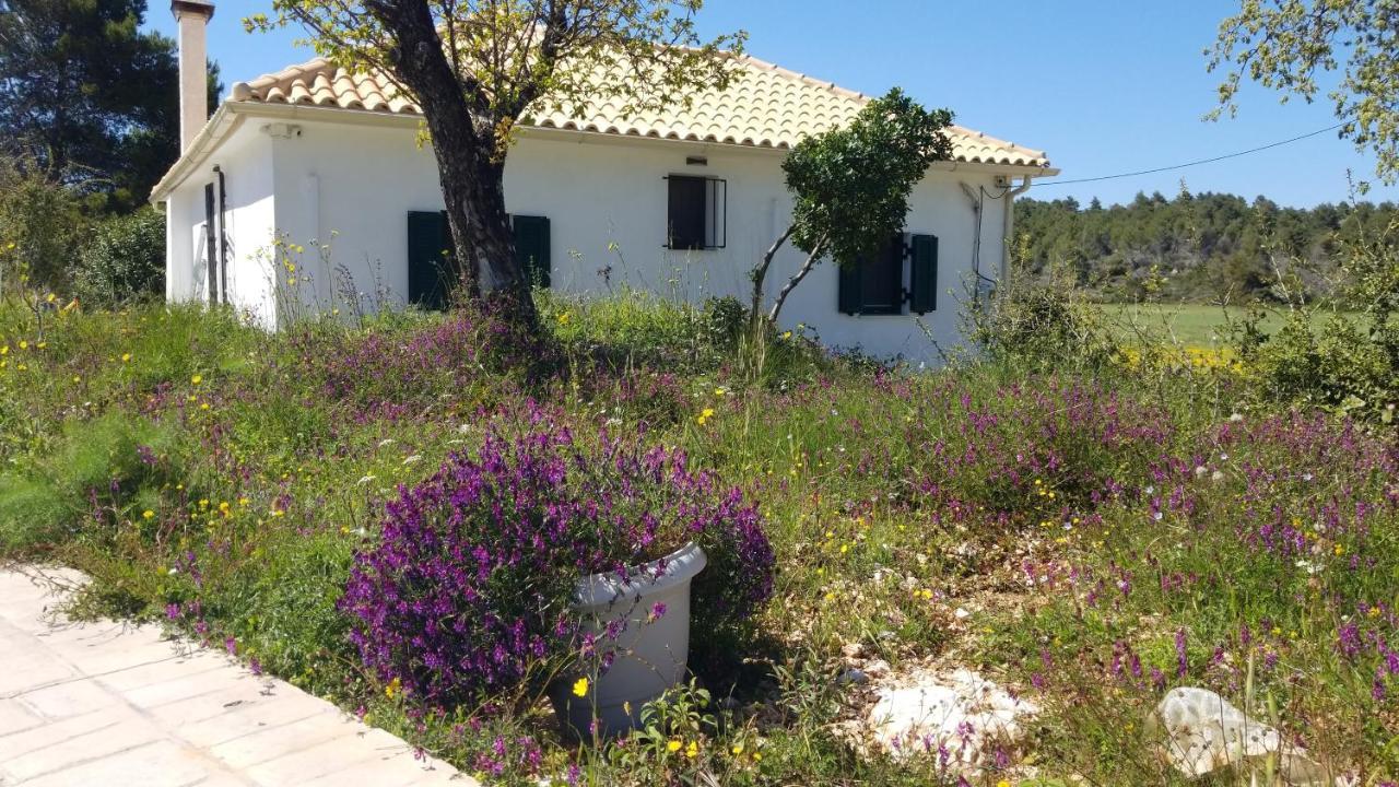 Dorinda Apartment Agia Marina  Exterior foto