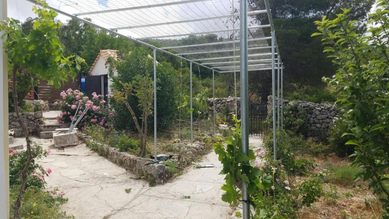 Dorinda Apartment Agia Marina  Exterior foto